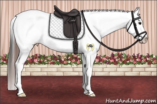 Horse Color:Bay Splash Tobiano Frame Appaloosa Rabicano 