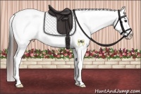 Horse Color:Bay Splash Tobiano Frame Appaloosa Rabicano 