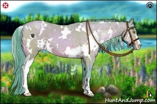 Horse Color:Watercolor White Spotted Bay Pearl Sabino 