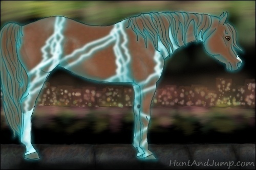 Horse Color:Thunderstruck Chestnut