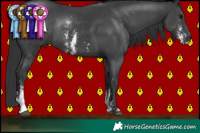 Horse Color:Black Sabino Rabicano 