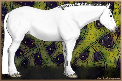 Horse Color:Gray Bay Dun Splash Tobiano Frame Varnish Rabicano