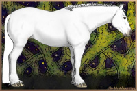 Horse Color:Gray Bay Dun Splash Tobiano Frame Varnish Rabicano 