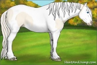 Horse Color:Perlino Dun Splash Tobiano