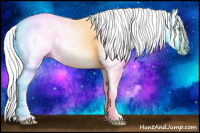 Horse Color:Gray Silver Amber Cream Champagne Roan Dun Splash Tobiano Frame Blanket Rabicano