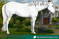 Horse Color:Silver Amber Cream Champagne Chinchilla Roan Dun Splash Tobiano Appaloosa Rabicano 
