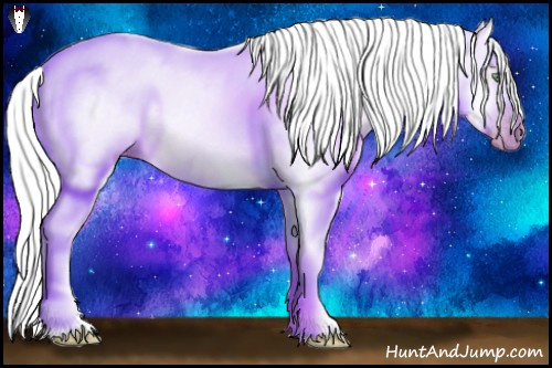 Horse Color:Gray Silver Amber Cream Champagne Roan Dun Splash Tobiano Frame Appaloosa Rabicano 