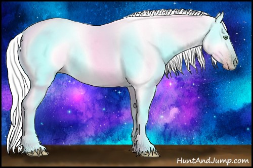 Horse Color:Gray Silver Amber Cream Champagne Roan Dun Splash Tobiano Frame Varnish Rabicano 