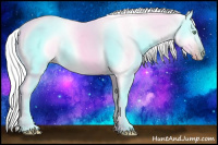 Horse Color:Gray Silver Amber Cream Champagne Roan Dun Splash Tobiano Frame Varnish Rabicano 