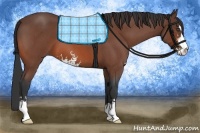 Horse Color:Bay Roan Sabino