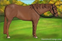 Horse Color:Chestnut Frame