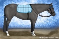 Horse Color:Blue Roan 