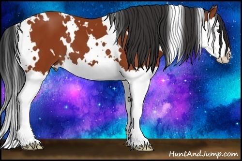Horse Color:White Spotted Bay Sabino Splash 