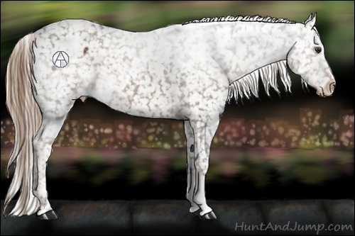 Horse Color:Liver Chestnut Snowflake Varnish