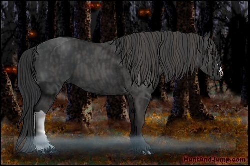 Horse Color:Black  Brindle