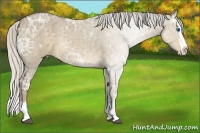Horse Color:Silver Smoky Grullo Ice Sabino Splash 