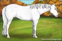 Horse Color:Silver Smoky Black Chinchilla Ice Pearl Varnish 