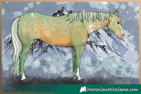 Horse Color:Watercolor Silver Brown Ice Sabino 