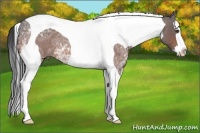 Horse Color:Bay Ice Roan Splash Tobiano 