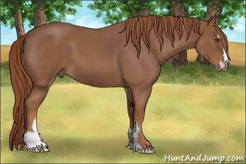 Horse Color:Red Roan Sabino Frame 