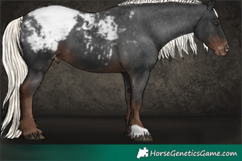 Horse Color:Liver Chestnut Mushroom Snowcap