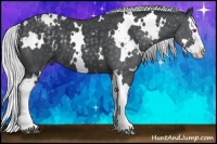 Horse Color:White Spotted Silver Black Chinchilla Splash 