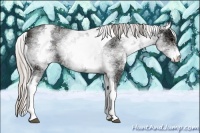 Horse Color:White Spotted Silver Black Ice Tobiano Rabicano