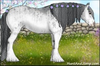 Horse Color:White Spotted Blue Onyx Chinchilla Roan Rabicano  and White Spotted Blue Onyx Chinchilla Roan Rabicano 