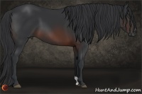 Horse Color:Brown 