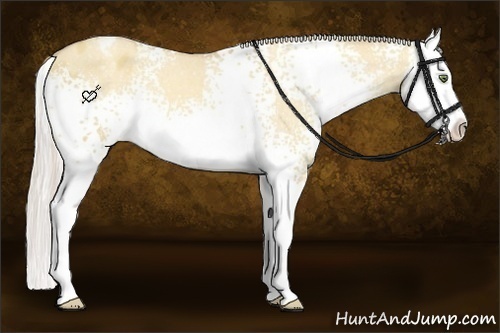 Horse Color:White Spotted Silver Classic Champagne Dun Splash Varnish