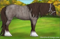 Horse Color:Liver Red Roan 