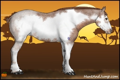Horse Color:Red Roan Sabino Frame