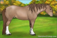Horse Color:Brown Pearl 
