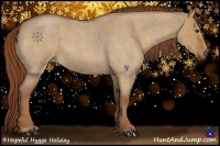 Horse Color:Red Dun Roan 