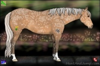 Horse Color:Silver Buckskin Ice 