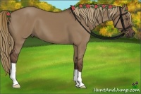 Horse Color:Liver Red Dun 
