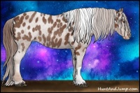 Horse Color:Chestnut Tobiano Varnish 