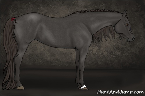 Horse Color:Liver Red Roan 