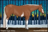 Horse Color:White Spotted Silver Bay 