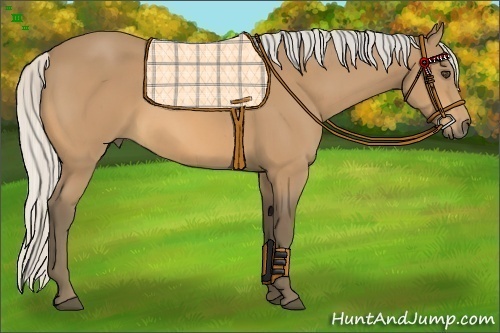 Horse Color:Silver Buckskin 