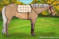 Horse Color:Silver Buckskin 