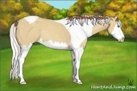 Horse Color:Silver Classic Champagne Dun Sabino Splash Tobiano Rabicano 