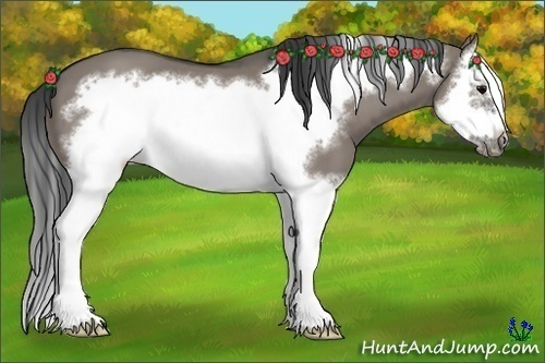 Horse Color:Grullo Splash Frame 
