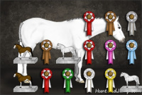 Horse Color:Gray Silver Black Sabino Splash 