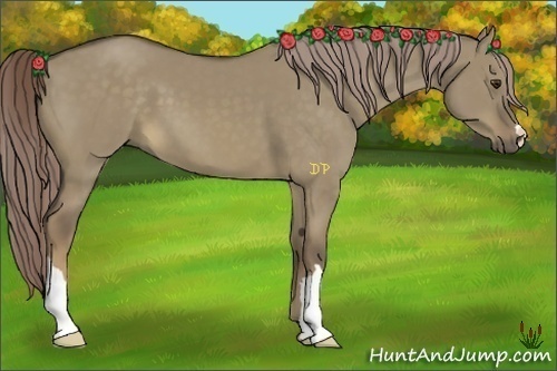 Horse Color:Chocolate Palomino Dun 