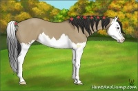 Horse Color:Liver Red Dun Splash