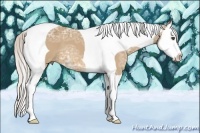 Horse Color:Silver Bay Ice Dun Splash Tobiano