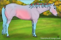 Horse Color:Watercolor Bay 