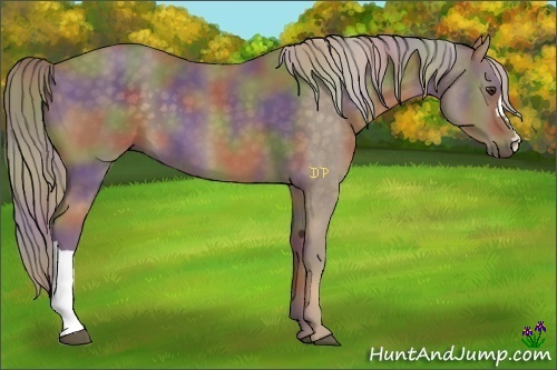 Horse Color:Nacre Chocolate Palomino 