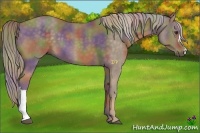 Horse Color:Nacre Chocolate Palomino 
